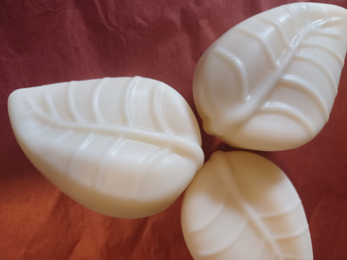 Shea & Coconut soothing body bar (100g)